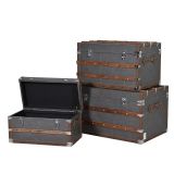 Magnus Set of 3 Check Trunks